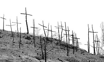 Jugendliche entzünden Feuer in Medingen