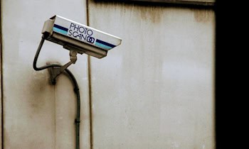 Einbrüche in Kleingartenanlage Hoyerswerda