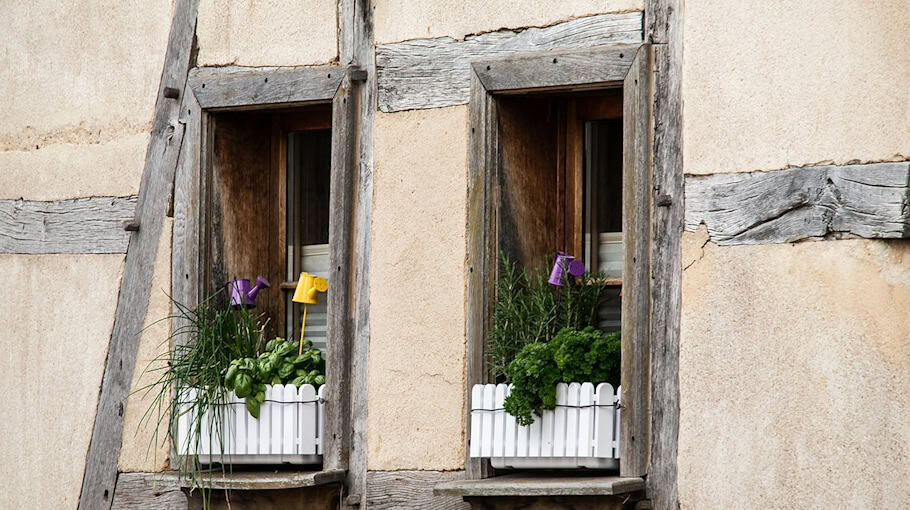 Farbanschlag auf elf Blumenkästen in Riesa