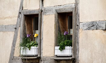 Farbanschlag auf elf Blumenkästen in Riesa