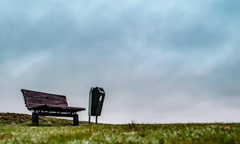 Mülltonnenbrand in Zwickau – Verdächtiger bekannt