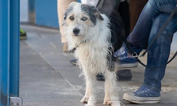 Fensterscheibe am Amtsgericht in OT Kaßberg beschädigt