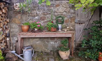 Pflanzkübel durch Böller beschädigt in Reichenbach