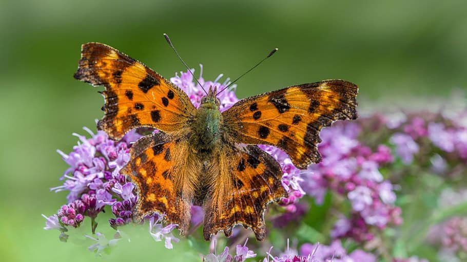Einbruchsversuch an Firmengelände in Freital-Döhlen