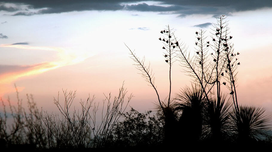 Entwendung eines Hyundai Tucson in Plauen-Chrieschwitz