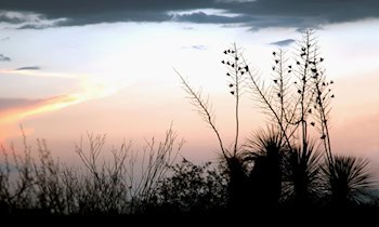 Entwendung eines Hyundai Tucson in Plauen-Chrieschwitz