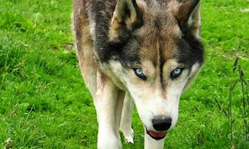 Mann am Postplatz bedroht – Zeugen gesucht