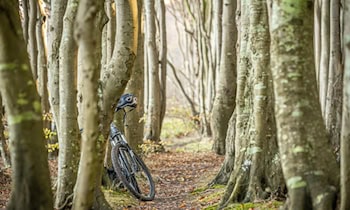 Fahrraddiebstahl in Zwickau-Pölbitz