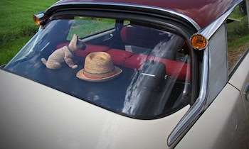 Auto durch Vandalismus beschädigt in Großenhain