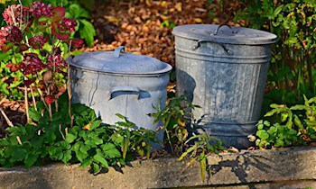Mülltonnenbrand in Taura - Feuerwehr verhindert Hausbrand