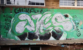 Fenster beschädigt in Neundorfer Vorstadt Plauen