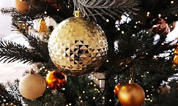 Christbaum am Altmarkt in Löbau nach Vandalismus umgestürzt