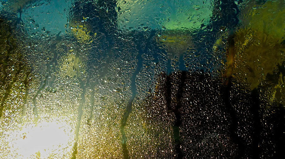 Einbruch in Renault in Dresden-Bühlau