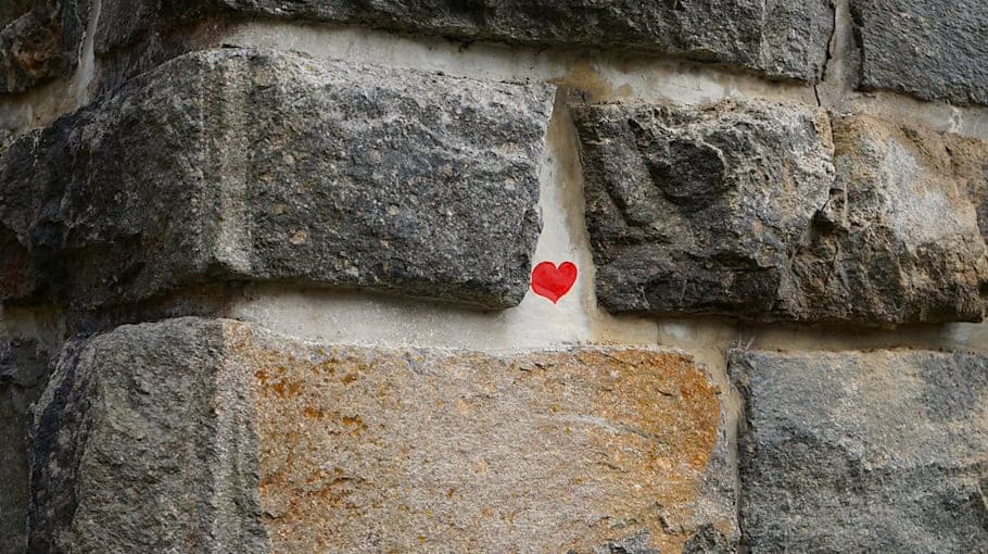 Vandalismus in Bautzen: Zaun mit verfassungswidrigen Symbolen