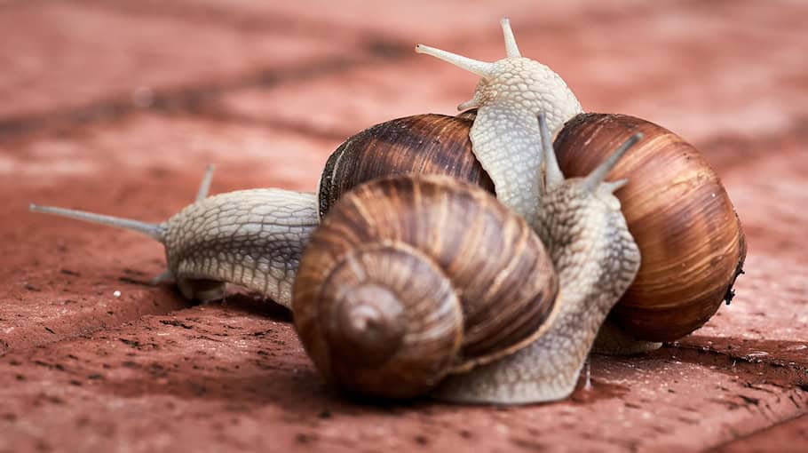 Auffahrunfall auf Hauptstraße in Quolsdorf mit Sachschaden