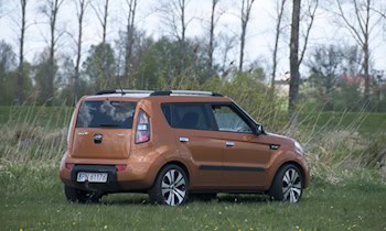 Schwarzer Kia XCeed in Dresden-Striesen gestohlen