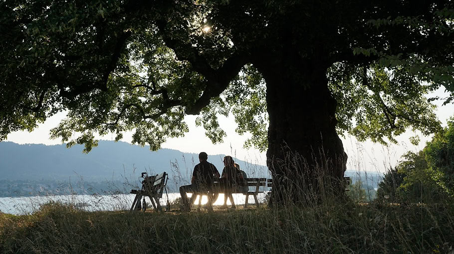 Fußgängerin mit Rollator in Rohne bei Unfall schwer verletzt