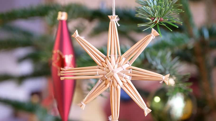 Mehrere Weihnachtsbäume in Zwickau gestohlen