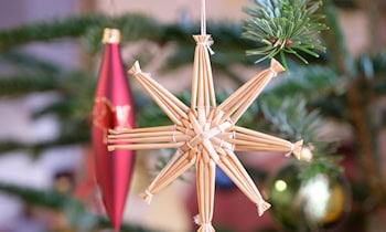 Mehrere Weihnachtsbäume in Zwickau gestohlen