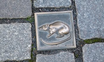 Pflastersteinwurf mit Hakenkreuz in Freiberg