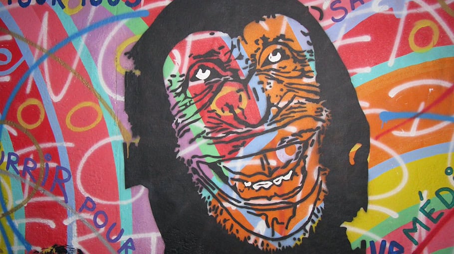 Vandalismus in Sporthalle in Kalkreuth