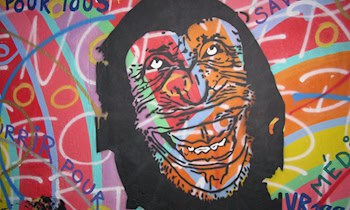 Vandalismus in Sporthalle in Kalkreuth