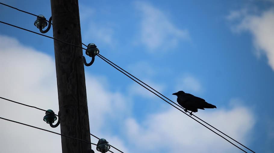 VW-Transporter prallt gegen Telefonmast in Reinsberg