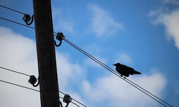 VW-Transporter prallt gegen Telefonmast in Reinsberg