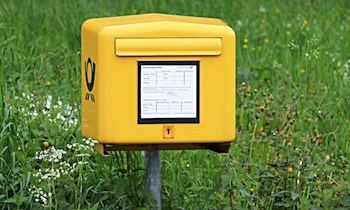 Zerstörerische Bölleraktion in Hoyerswerda