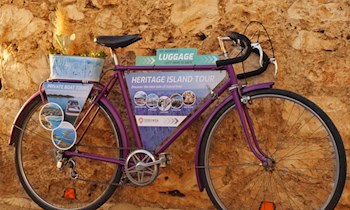 Rennrad aus Hausflur gestohlen in Zwickau