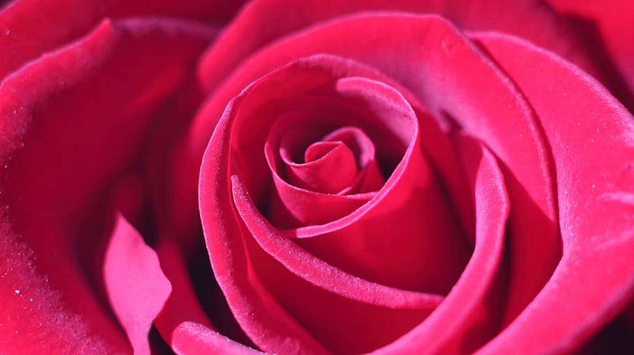 Senior in Neustadt in Sachsen durch Computerbetrug um 240 Euro betrogen