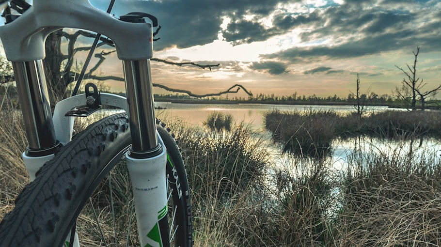 Mountainbike aus Garage gestohlen in Kesselsdorf