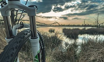 Mountainbike aus Garage gestohlen in Kesselsdorf