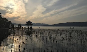 Pavillonbrand in Stollberg durch unbeaufsichtigtes Grillfeuer