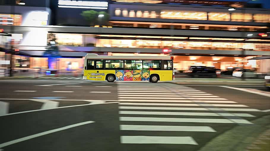 Frau und Hund in Dresden-Lockwitz von Auto erfasst