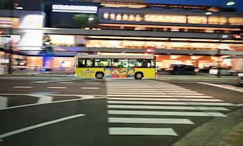 Frau und Hund in Dresden-Lockwitz von Auto erfasst