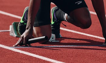 Mercedes Sprinter in Görlitz gestohlen