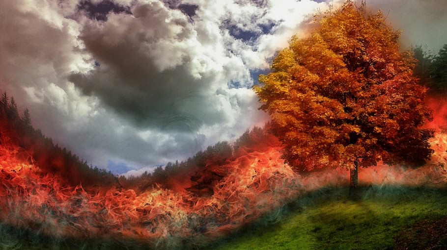 Restmülltonne setzt Carport in Rietschen in Brand