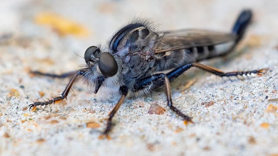 16-Jähriger in Gohlis-Mitte beraubt und schwer verletzt