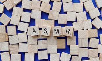 Sensoren-Diebstahl an VW Touareg in Hoyerswerda