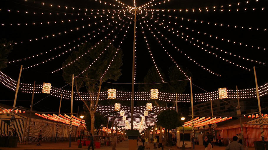 Weihnachtslichterkette in Löbau gestohlen