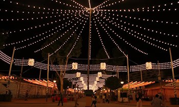 Weihnachtslichterkette in Löbau gestohlen
