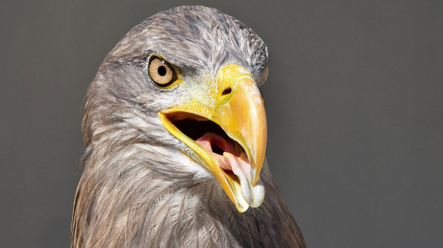 Zeugenaufruf nach Raub im Lutherviertel