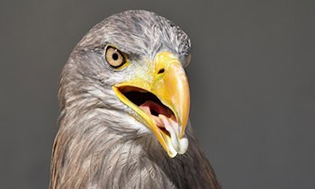 Zeugenaufruf nach Raub im Lutherviertel