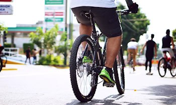 Gestohlenes Mountainbike in Großschönau sichergestellt