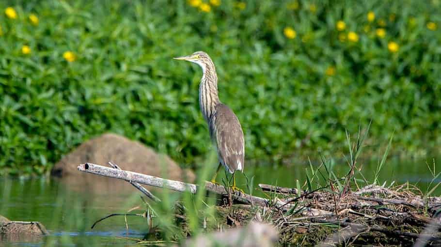 Einbruch in Döbeln: Mercedes Vito gestohlen