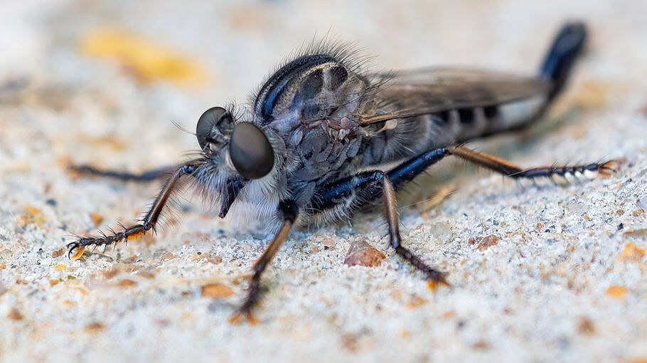Raubüberfall auf Jugendliche im Park