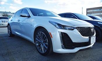 Geparkter Toyota Land Cruiser bei Fahrerflucht beschädigt