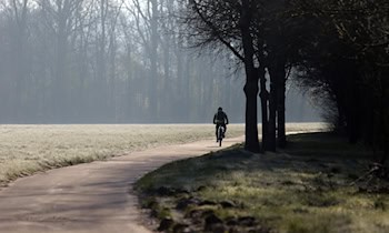 Fahrradfahrer in Riesa von Auto touchiert – Fahrer flüchtig