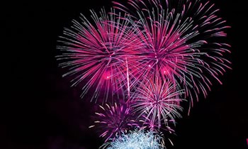 Pyrotechnik aus Supermarktcontainer in Radebeul gestohlen